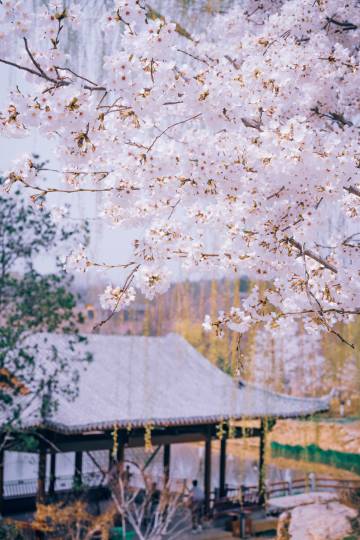 晋城凤城国际酒店图片