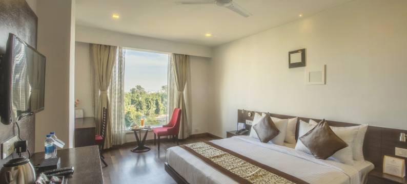 乌代布尔维斯塔大中央(Vesta Grand Central Udaipur)图片