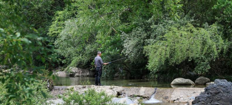 怡云山居(黄山汤口南大门店)图片