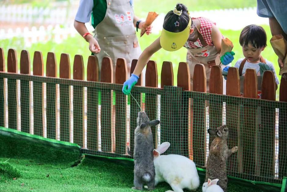 三亚亚龙湾红树林度假酒店图片