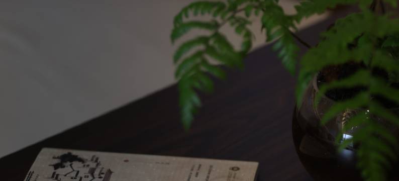 龙庄庭园民宿(边城茶峒景区店)图片