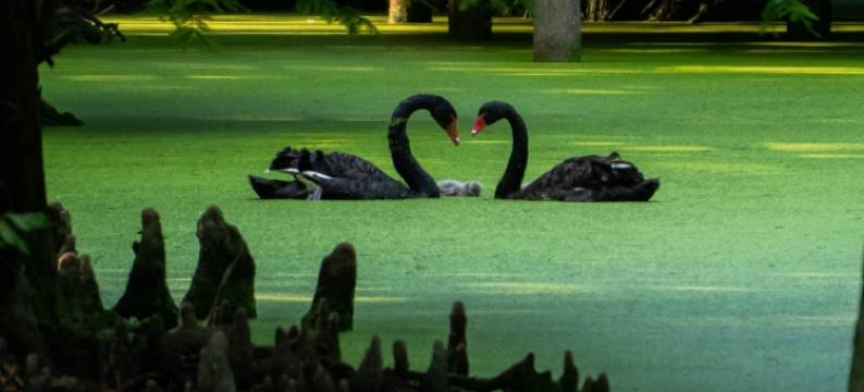 杭州•南歌｜DESIGNER•SOUTHERN•SONG酒店(杭州金沙湖地铁站店)图片