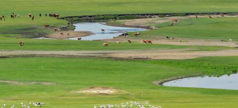 围场塞罕坝鼎美庄原酒店图片