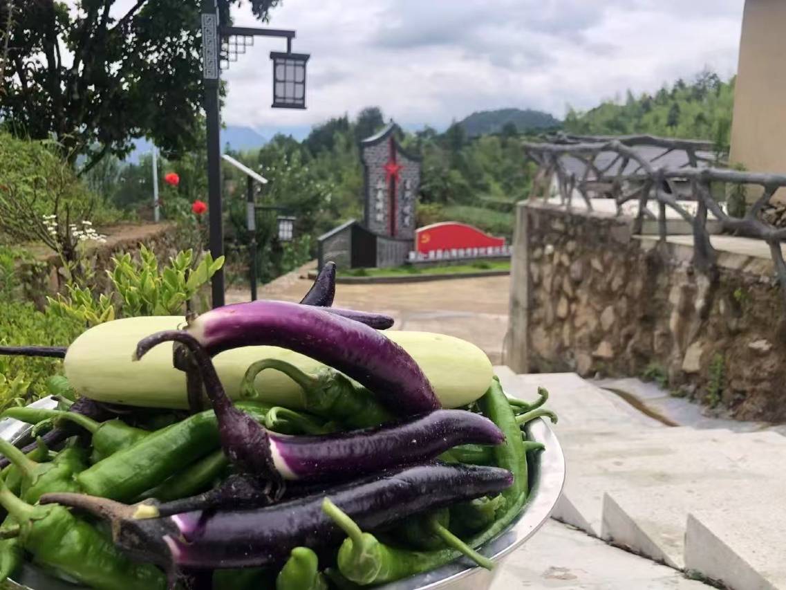 遂昌星河·揽月民宿图片