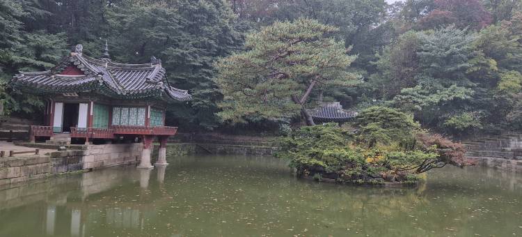 玫瑰旅馆(Rose Inn)图片
