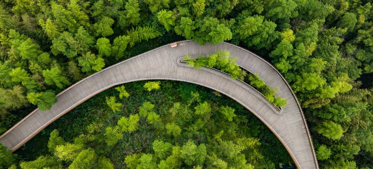 宜宾鲁能皇冠假日酒店图片