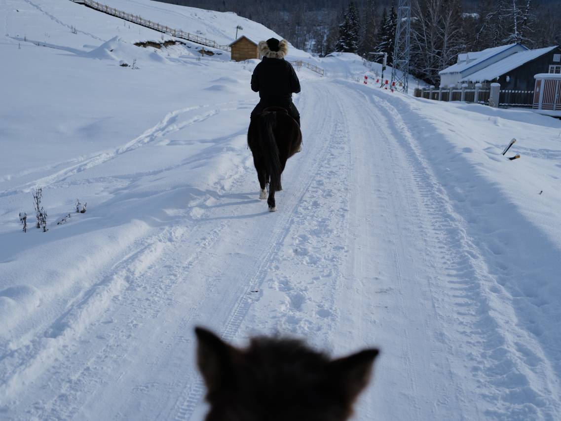 塔尔民宿(白哈巴店)图片