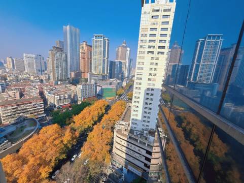 拾柒号轻奢浪漫氛围美宿(南京新街口地铁站店)图片