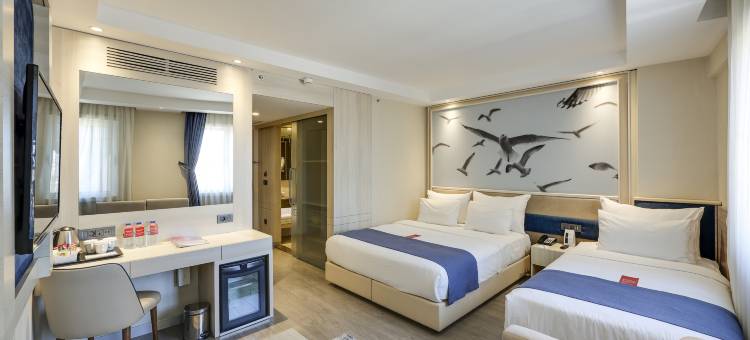 伊斯坦布尔老城华美达酒店(Ramada by Wyndham Istanbul Old City)图片