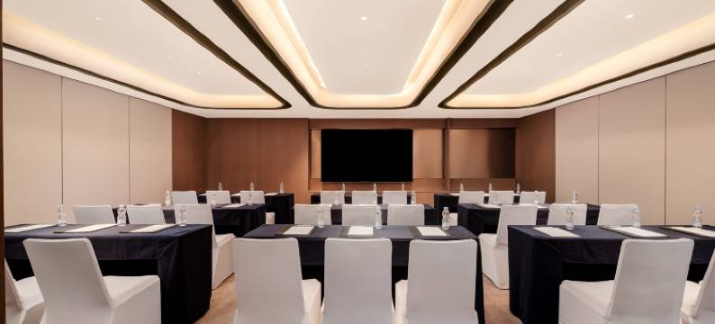 上海漕河泾开发区润昇希尔顿花园酒店图片