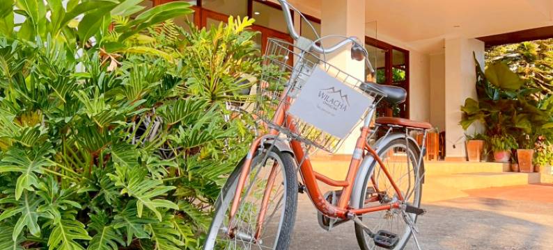 威拉查清莱(Wilacha Chiang Rai)图片