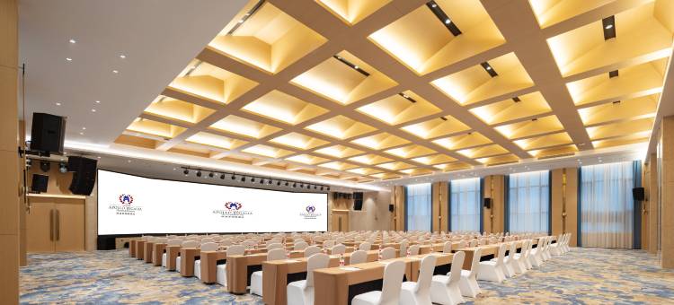 岳阳阿波罗御庭酒店图片