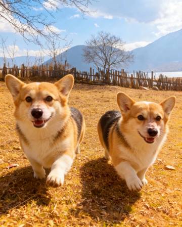 云孚里云宿·冶勒湖畔私汤民宿(冕宁冶勒湖店)图片