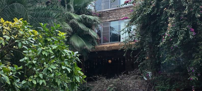 宜章云庐温泉度假民宿图片