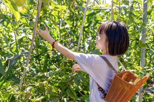 三亚绿发山海天JW万豪酒店图片