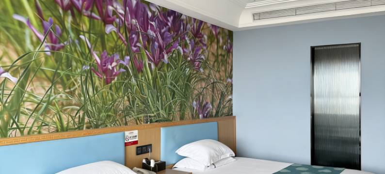 朵兰主题酒店图片