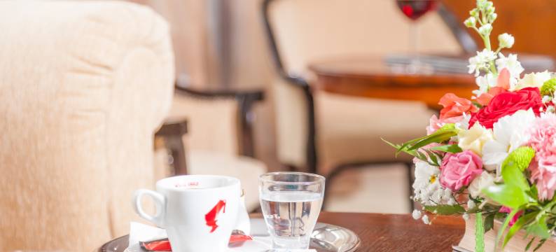 苏恰瓦大陆酒店(MyContinental Suceava)图片