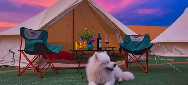 星耀大地·沙漠观星露营基地图片