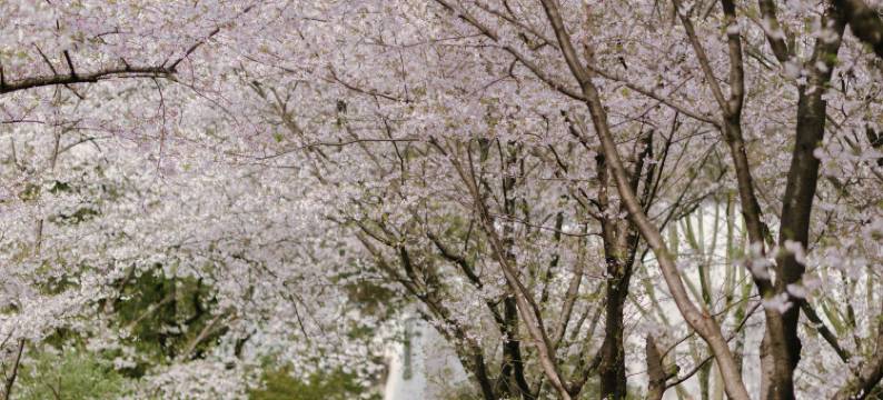 绍兴兰亭璞燊酒店图片