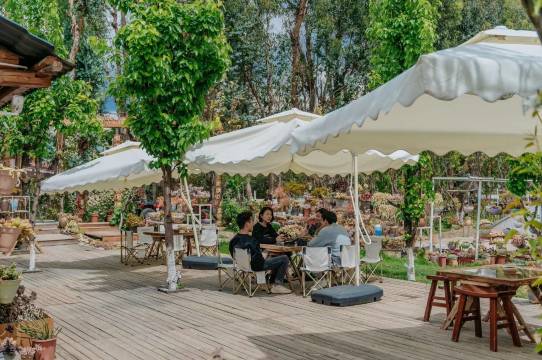 大理马帮庄园(喜洲古镇店)