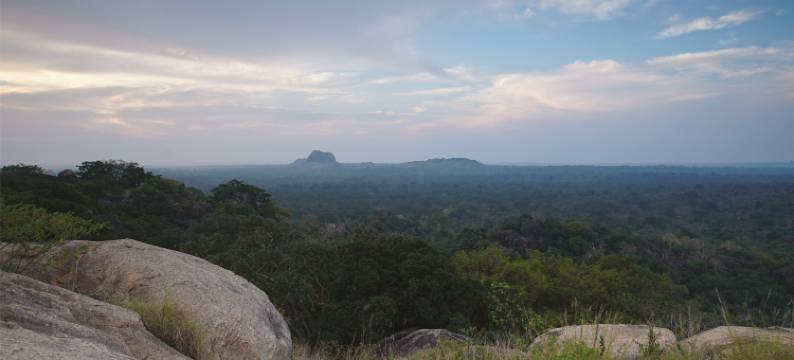 亚拉大型游戏酒店-生态团队(Big Game - Yala By Eco Team)图片