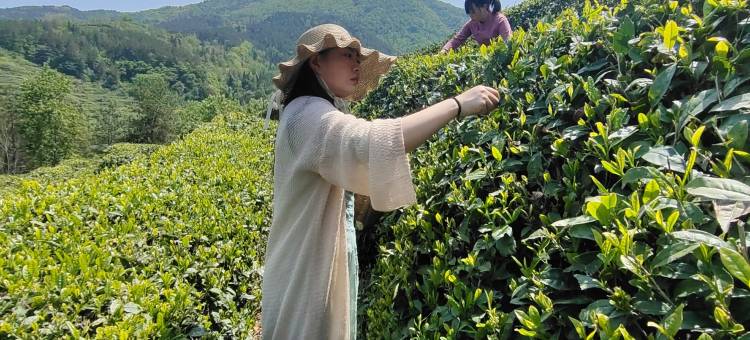 汉上·云锦茶主题民宿图片