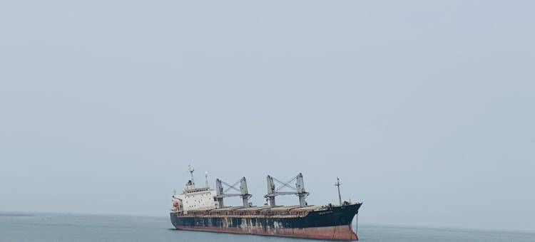 在家观海·轻奢海景度假美墅(荣成西霞口动物园金石湾艺术园店)图片