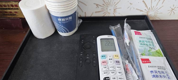 桃源商务宾馆(齐南路店)图片