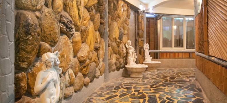 台北北投凤凰阁温泉饭店图片