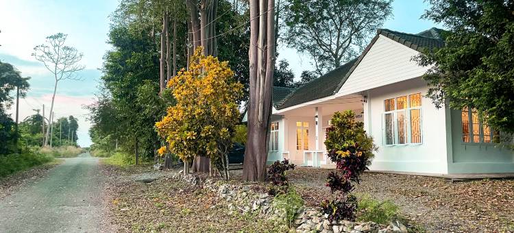 西尔帕松艺术民宿素叻他尼(Silpasom ARTstay Suratthani)图片