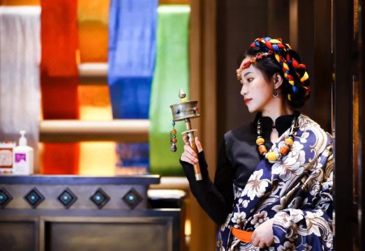 Xizang Hotel Chengdu(Wenshu Monastery Branch)Hotel Overview