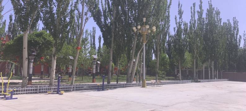 天马西极商务酒店图片