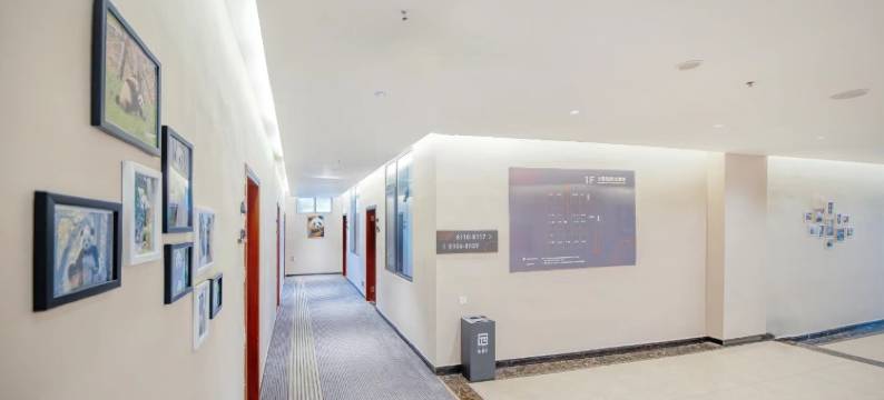 熊猫派·酒店(成都天府国际机场店)图片