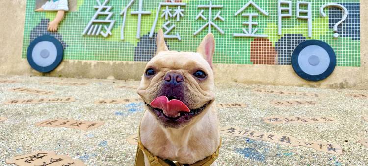 金门禧乐民宿图片