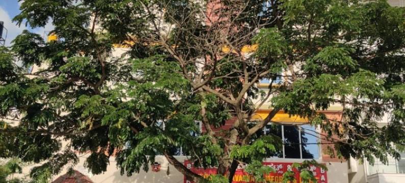 VILASINI INN BTM Layout, Bengaluru图片