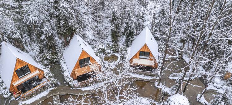 彭州挪威森林溪舍Forest hiking私汤民宿图片