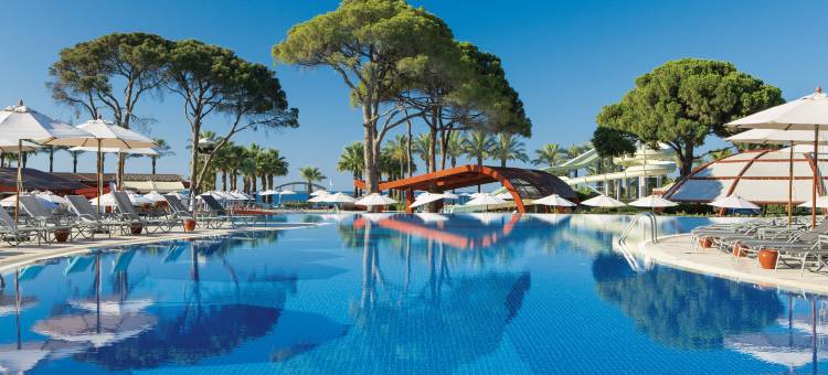 帕洛玛森西亚(Paloma Sencia)图片