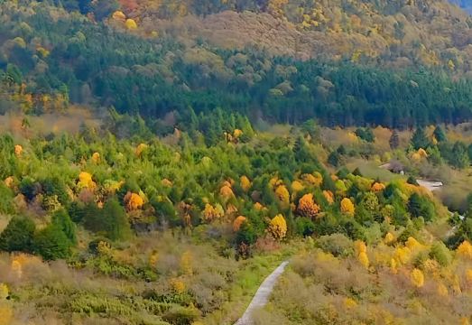Menghuocheng Xiangye and Sleeping Tent Camp Hotel Overview