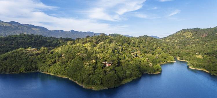 隐士爱德华精选酒店(The Hermitage by Edwards Collection)图片