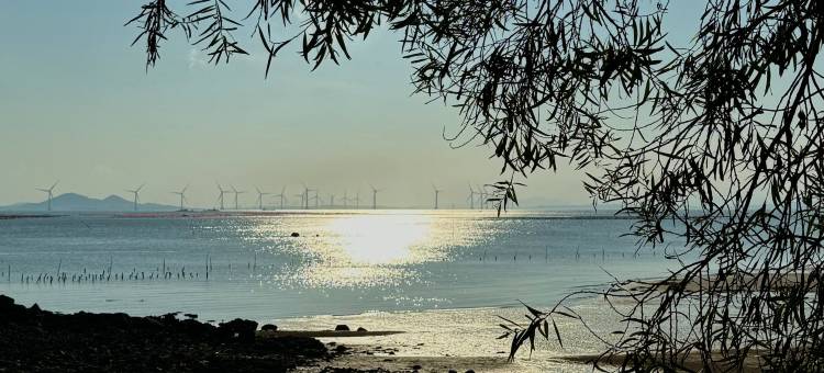 平潭老陈家客栈(坛南湾七号沙滩店)图片