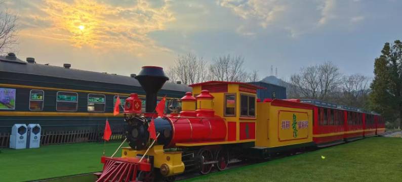 六出花Alstroemeria·拾光伴趣亲子野奢度假美墅(鲁家景区店)图片