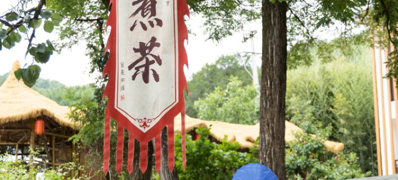 天水知青山庄(麦积山石窟店)图片