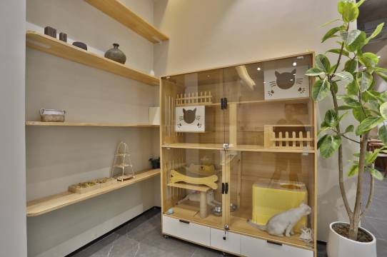 遇萌悦·漫居｜Smart Projector智能设计师酒店(绍兴鲁迅故里店)图片