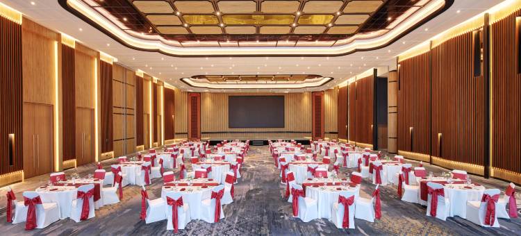 巴淡市中心美爵酒店(2025 年 5 月开业)(Grand Mercure Batam Centre)图片