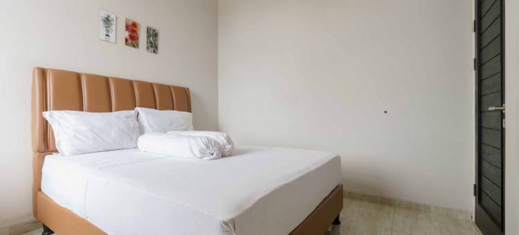 Palm Eight RedPartner图片