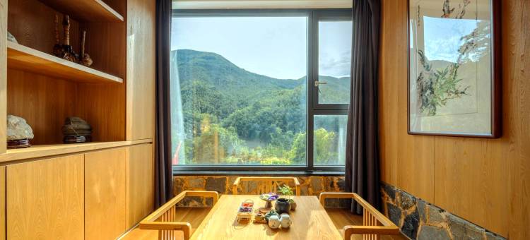 燕栖湖湾Holiday Villa山水庭院丨设计师轻奢美宿(九华山店)图片
