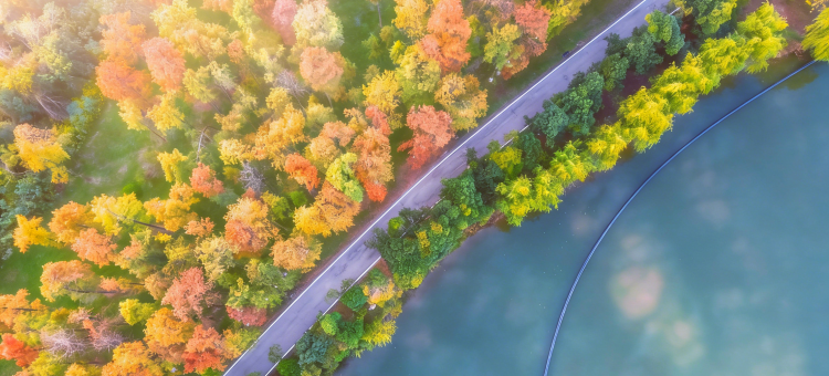 洪湖悦兮半岛国际温泉度假村图片