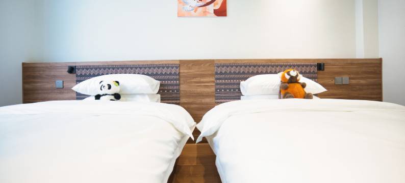 岷山·旌隐乡村民宿图片