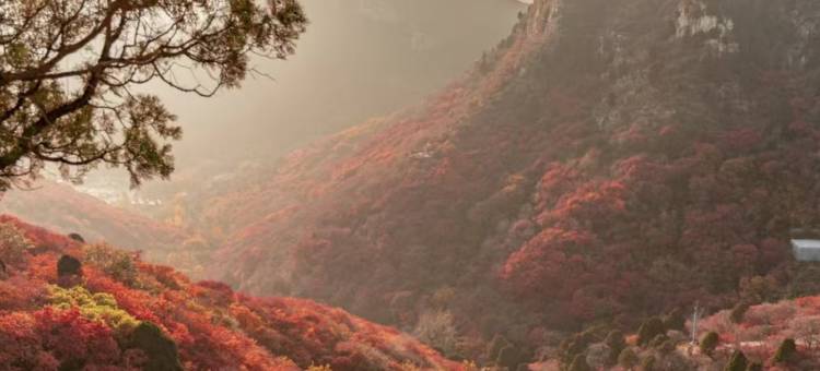 华美达安可酒店(潍坊临朐朐山路龙韵文化城店)图片