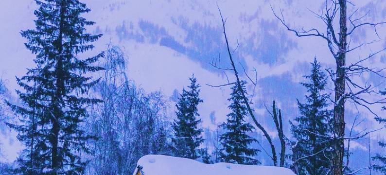 山屿林溪·白桦林雪山观景中古美学咖啡度假民宿(禾木老村店)图片